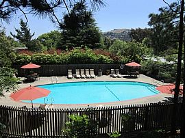 1 Bd/1 Bath Madera Valley Apartment Home in Corte Madera, CA (Photo 3 of 5)