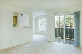 2 Bd/1 Bath 1bd Welcome Home to Amberton in Manassas, VA (Photo 4 of 5)