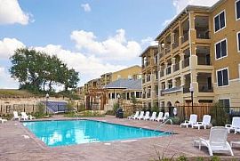 Pet Friendly San Antonio Condos with Puppy in San Antonio, TX (Photo 2 of 5)