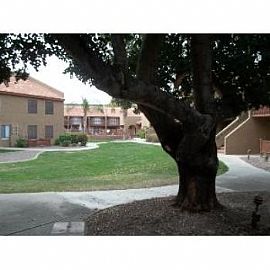 Swimming Pool and Community Area, Bbq in Phoenix, AZ