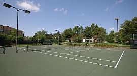 2 Bedroom Apartment at Tpc Gainesville in Gainesville, FL (Photo 3 of 3)