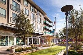 2bd Live Well. Live New. Live Now. -- Th in Austin, TX