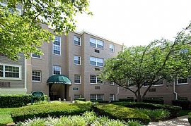 2 Bd/2 Bath Hyattsville 2 Bed 2 Bath Nex in Avondale, MD (Photo 5 of 5)