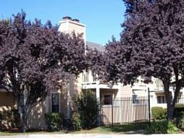 2 Bd/1 Bath Los Prados Apartments in Pit in Bay Point, CA (Photo 3 of 5)