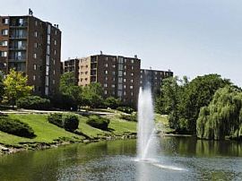 1 Bd/1 Bath Newly Renovated Apartments N in Naperville, IL (Photo 2 of 5)