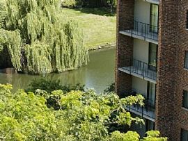 1 Bd/1 Bath Newly Renovated Apartments N in Naperville, IL (Photo 5 of 5)