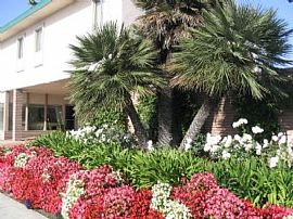 0 Bd/1 Bath One Bedroom in The Heart Of in Diamond, CA