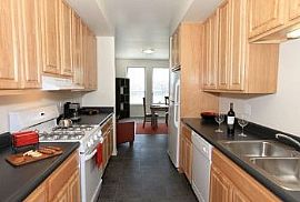 Large Floor Plans Near Public Transporta in Chicago, IL (Photo 2 of 5)