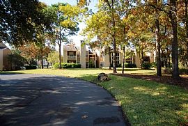 1 Bd/1 Bath Only a Few 1 Or 2 Bedroom Ap in Jacksonville, FL (Photo 4 of 5)