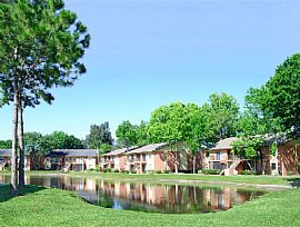 0 Bd/1 Bath The Reserve at Clearwater Of in Clearwater, FL (Photo 4 of 5)