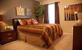 1 Bd/1 Bath 24-Hr Fitness Center, Pool, in Grapevine, TX (Photo 2 of 5)