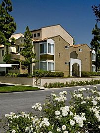 2 Bd/2 Bath 1 Bed Near Malibu, Zuma Beac in Calabasas, CA