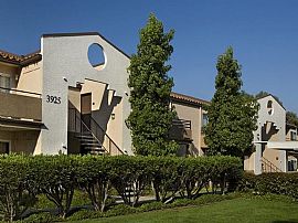 2 Bd/2 Bath 1 Bed Near Malibu, Zuma Beac in Calabasas, CA (Photo 3 of 5)