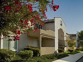 2 Bd/2 Bath 1 Bed Near Malibu, Zuma Beac in Calabasas, CA (Photo 5 of 5)