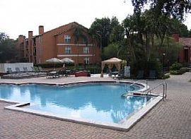 Affordable Tampa Apts with Custom Kitchens in Tampa, FL (Photo 3 of 4)