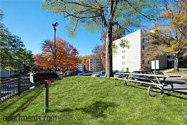 2 Bd/1 Bath Great Location Near The Capi in Adelphi, MD (Photo 4 of 5)