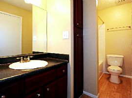 2 Bd/2 Bath St. James Crossing Is in Tam in Northdale, FL (Photo 4 of 5)