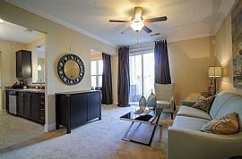 2 Bd/2 Bath Just Opened January 2012! in Franklin, TN (Photo 4 of 5)