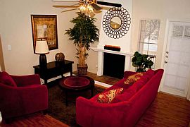 2 Bd/1 Bath Newly Remodeled Apartments I in Austin, TX