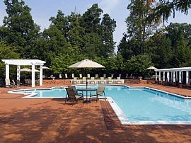 1 Bd/1 Bath 1bed/1bath in Fairfax, Pets in Fairfax, VA (Photo 4 of 5)