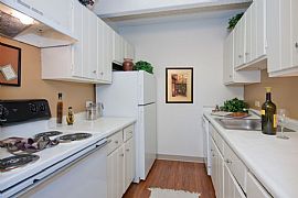 2 Bd/1 Bath If You Consider Your Home Yo in Denver, CO (Photo 5 of 5)