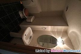 Beautiful Split Entry in Andover in Andover, MN (Photo 5 of 5)