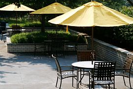 2 Bd/1 Bath High Rise Living with Balcon in Silver Spring, MD (Photo 5 of 5)