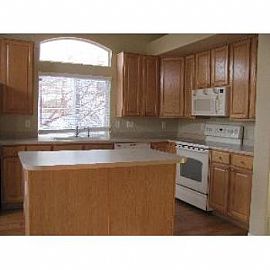 4125 Storm Cloud Way in Castle Rock, CO (Photo 2 of 5)