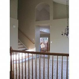 4125 Storm Cloud Way in Castle Rock, CO (Photo 3 of 5)