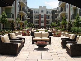 2 Bd/2 Bath Amazing Apts in Historic Sou in Charlotte, NC (Photo 3 of 5)