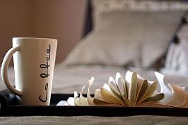 Reduced Pricing..Huge Amenity Package! in Arlington Heights, IL (Photo 2 of 5)