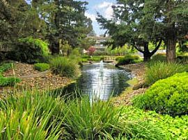 2 Bed 2 Bath in Sunnyvale with Sand Volley in Sunnyvale, CA