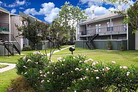 2 Bd/2 Bath Beautiful and Spacious Apart in Alvin, TX (Photo 5 of 5)