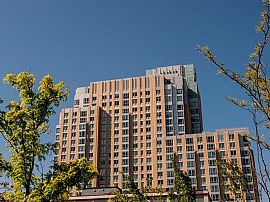 2 Bd/2 Bath Live in The Hearth of North in Cambridge, MA (Photo 2 of 5)