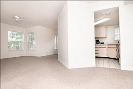 2 Bd/2 Bath Tucked Away Amid Swaying Pal in Orlando, FL (Photo 5 of 5)