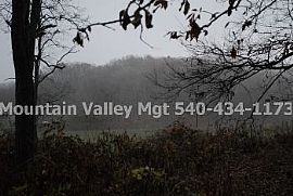 Single Family Rental Home in Harrisonbur in Harrisonburg, VA (Photo 3 of 5)