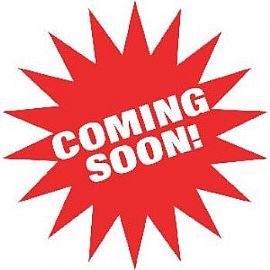 176 Prairie Falcon Pkwy in Brighton, CO