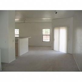 Bronze in Fort Lowell, AZ (Photo 2 of 5)