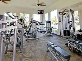 2bd Pet Friendly Apartments in The Point in Ocean Beach, CA (Photo 3 of 5)