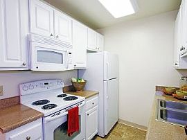 2bd Pet Friendly Apartments in The Point in Ocean Beach, CA (Photo 4 of 5)