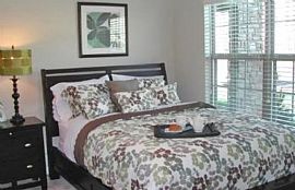 2 Bd/2 Bath New Upscale Gated Community in Bealwood, GA (Photo 5 of 5)