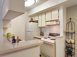 2bd Pet Friendly Apartments in Orlando W in Alafaya, FL (Photo 5 of 5)