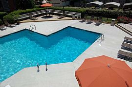 1 Bd/1 Bath Free Gym Membership and Comp in Huntsville, AL (Photo 5 of 5)