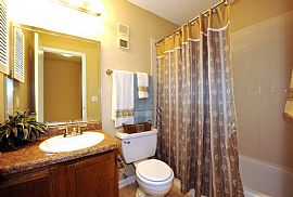1 Bd/1 Bath Minutes to Downtown Jacksonv in Jacksonville, FL (Photo 2 of 5)
