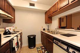 1 Bd/1 Bath Minutes to Downtown Jacksonv in Jacksonville, FL (Photo 5 of 5)