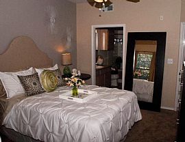 1 Bd/1 Bath Newly Renovated Interiors W/ in Austin, TX (Photo 5 of 5)