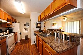 2 Bd/1 Bath Only Minutes From Historic S in Jacksonville, FL (Photo 2 of 5)