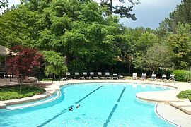 2 Bd/2 Bath Got It and Flaunting It!! in Columbus, GA (Photo 5 of 5)