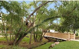 2 Bd/2 Bath The Woods of Bedford Has One in Bedford, TX