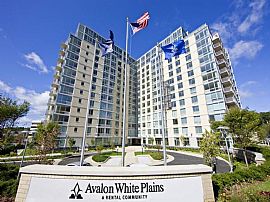 0 Bd/1 Bath Brand New Stuido Apts - Near in White Plains, NY
